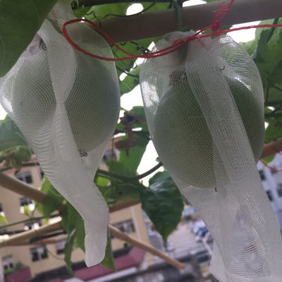 Waterproof Easy Grow Fruit Cover Net For Vegetables Wristband And Insect Birds