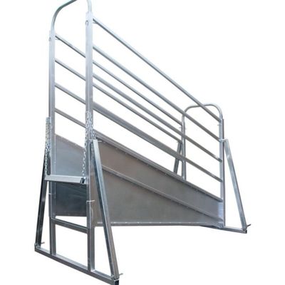 Dust Proof Height 3200mm Adjustable Cattle Loading Ramp