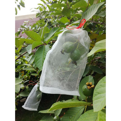 Waterproof Easy Grow Fruit Cover Net For Vegetables Wristband And Insect Birds
