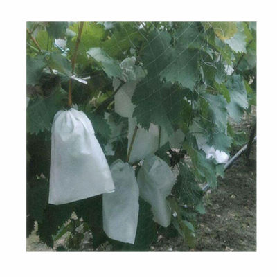 High Mechanical Index Fruit Protection Mesh Bags