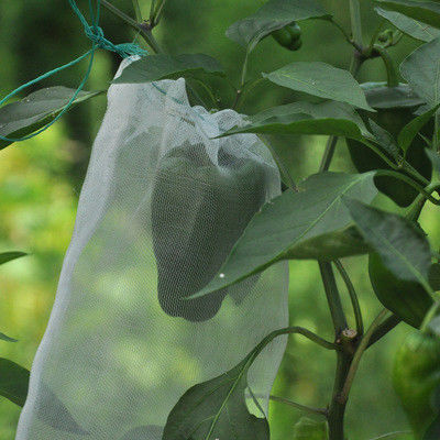 White Fruit Tree Covers For Vegetables Tomatoes , Aubergines , Grapes , Apples