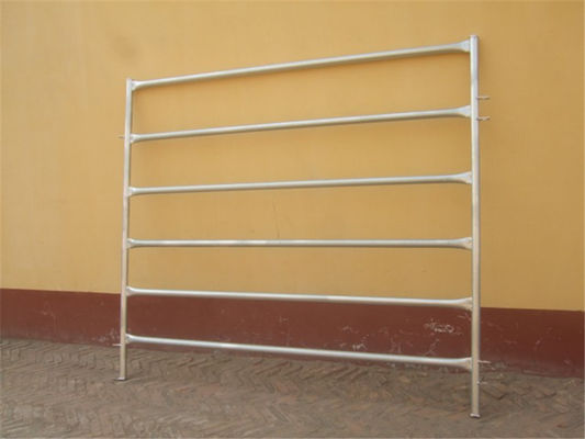 1.6m / 1.8m×2.1m Galvanized Corral Fence Panels 6 Rails Round Tube 32mm OD