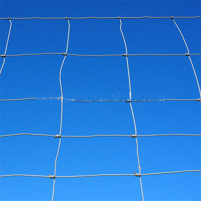 1400Mpa 1.5*50m Hot Dipped Galvanized Hinge Joint Fence