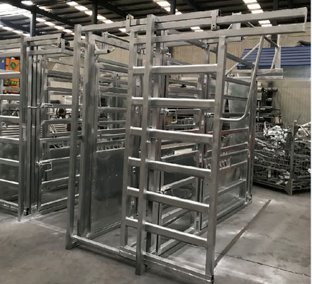 Heavy Duty Portable Galvanized Cattle Cattle Crush For Sale