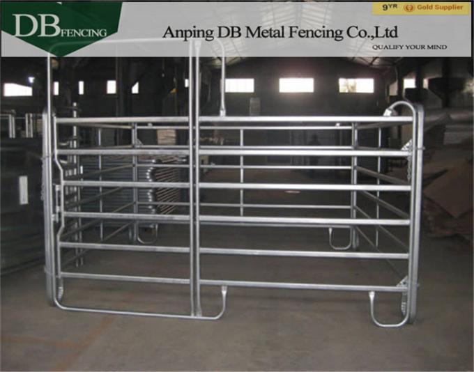 Portable Security 6 Bar Corral Fence Panels Steel Livestock Fencing In Farm