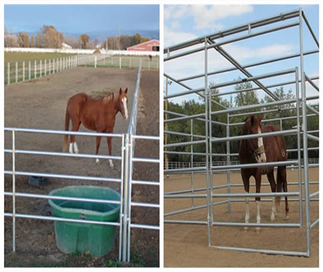 Livestock Horse / Cattle Corral Panels , Low Carbon Steel Metal Corral Fencing