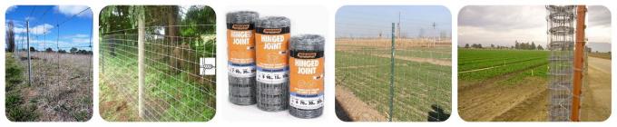High Tensile Farm Hinge Joint Field Fence With Hot Dipped Galvanized Treatment