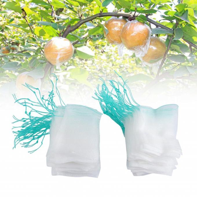 fruit cover bag for  orange tree
