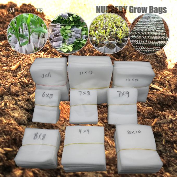 fruit cover bag for  fruit