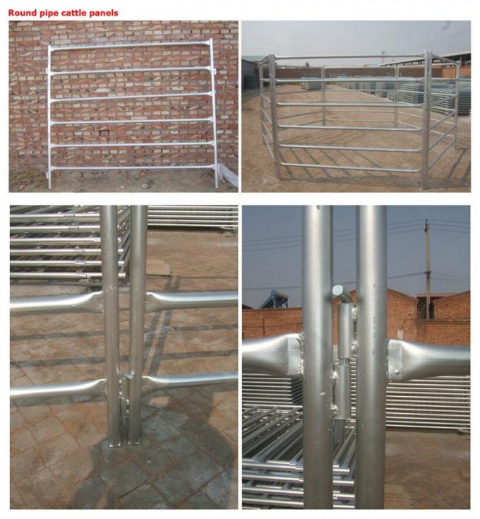 galvanized corral panels quality showing