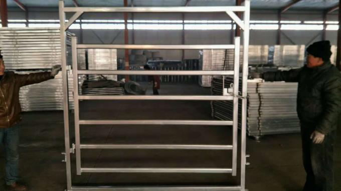 2.25 X 2.2m Cattle Gate 40 X 40mm Or 50x50mm