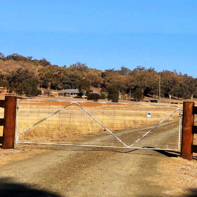 Galvanized Steel N Stay Welded Mesh Steel Farm Gates 