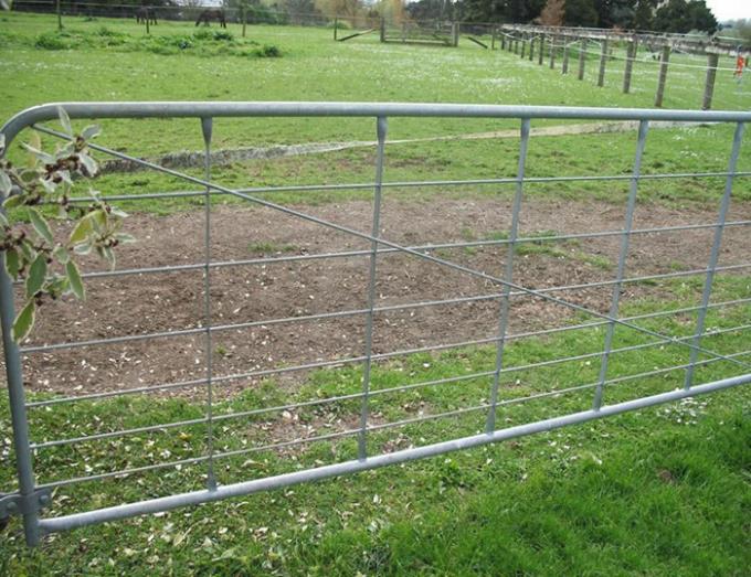 Livestock Wire Mesh Welded Farm Metal Gates 10ft 12ft 16ft