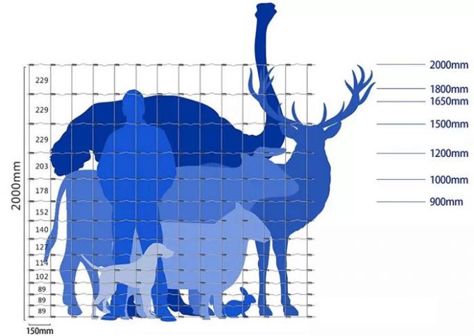 Hot Dipped Galvanized Woven Field Fence For Animal Feeding 