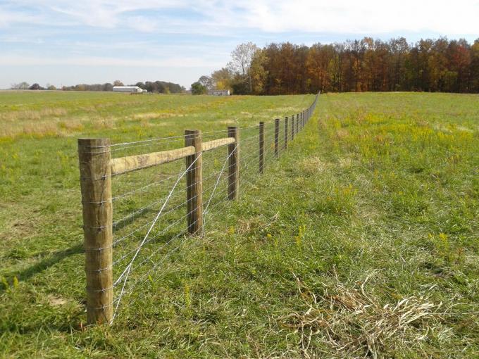 Farming Hinge Joint Field Fence Cow Fence 7/90/30x200m Roll