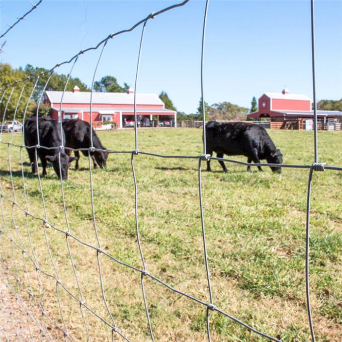 0.9 X 100m Hinge Joint Fencing For Farm And Field 2mm Wire