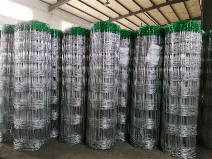 1.5*50m Agricultural Field Farm Hinge Joint Wire Fence Roll 