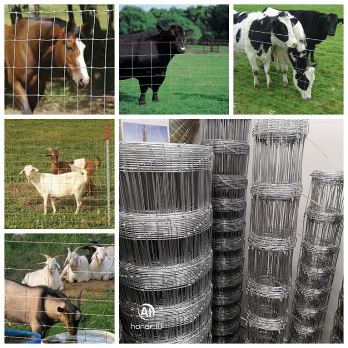 1.5*50m Agricultural Field Farm Hinge Joint Wire Fence Roll 