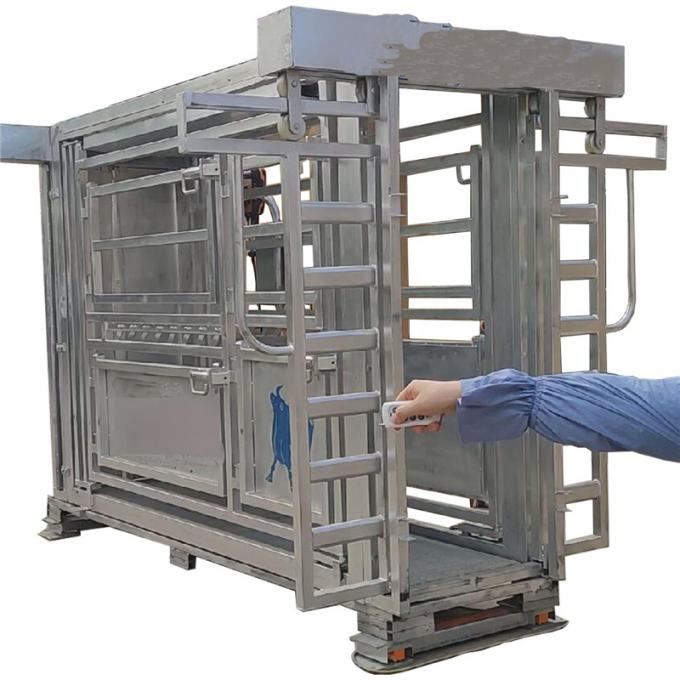 easy installing and operated galvanized metal cattle crush
