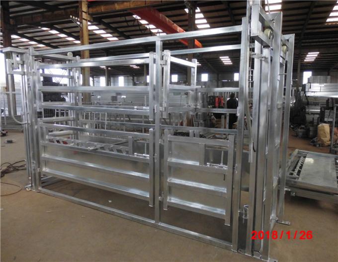 Factory Hot sale heavy duty steel cattle crush cattle squeeze chute for sale