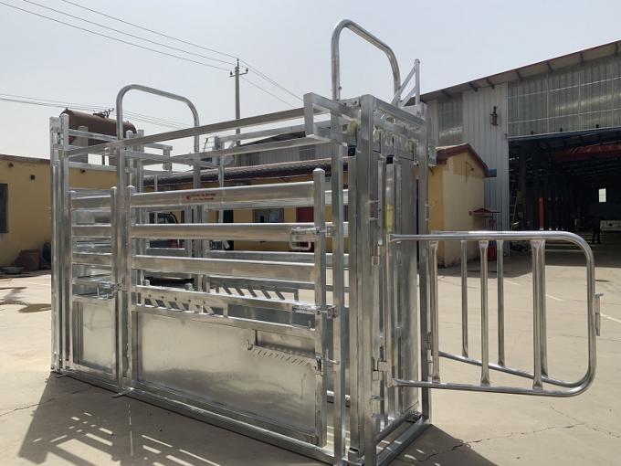 cattle crush for sale