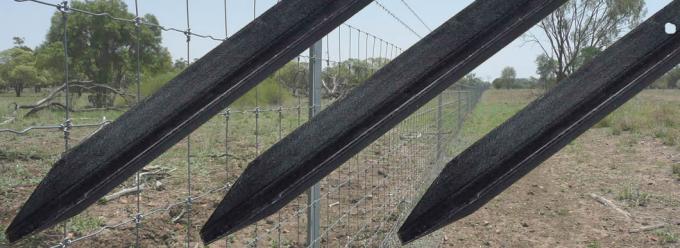 Steel Heavy Duty Star Pickets For Protective Gardens Road And House Fencing
