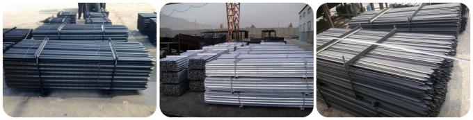 Australian Black Color Metal Star Pickets Galvanised Steel Fence Posts