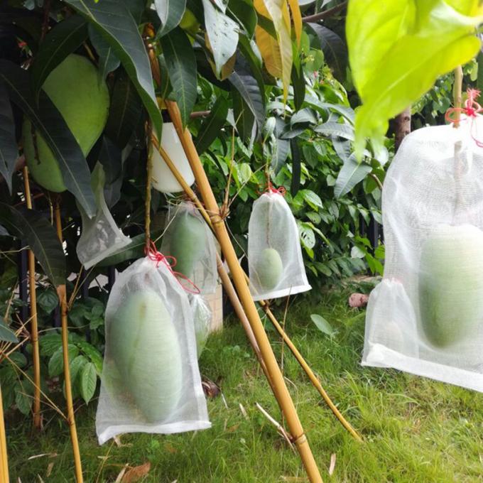 Bolsos de la cubierta de la fruta con la sandía china