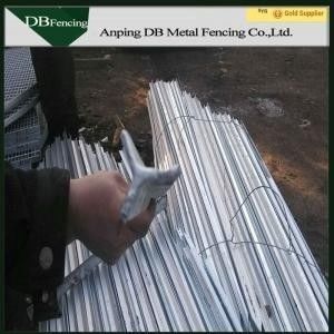 Black Painted Y Shaped 1500mm Star Pickets Post For Fencing High Strength