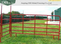 5 X 12 Livestock Corral Fence Panels , Horse / Sheep / Pig Portable Animal Fencing