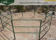 Green 12ft X 5ft Livestock Pen Panels , Portable Corral Panels For Horse / Cattle