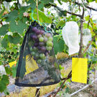 100% HDPE UV Radiation Agents 3% Fruit Tree Covers , Bags To Cover Fruit On Trees
