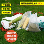 Anti - Static Fruit Protection Bags Protecting Insects / Pests / Birds For Your Crop