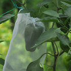 White Fruit Tree Covers For Vegetables Tomatoes , Aubergines , Grapes , Apples