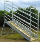 Adjustable Mobile Cattle Loading Ramp , Portable Livestock Loading Ramps