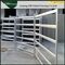Livestock Horse / Cattle Corral Panels , Low Carbon Steel Metal Corral Fencing