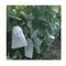 High Mechanical Index Fruit Protection Mesh Bags