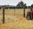 12ft Mesh Farm Gates
